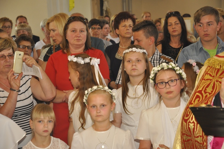 Powitanie ikony MB Częstochowskiej w Dmosinie