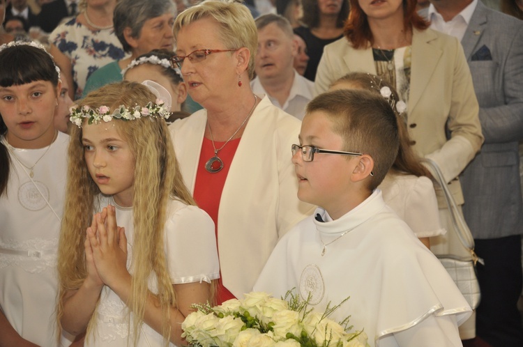 Powitanie ikony MB Częstochowskiej w Dmosinie