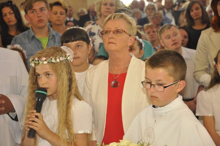 Powitanie ikony MB Częstochowskiej w Dmosinie