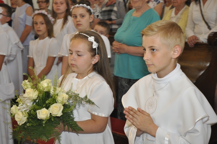 Powitanie ikony MB Częstochowskiej w Dmosinie