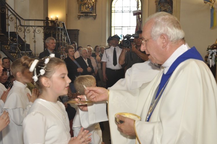 Powitanie ikony MB Częstochowskiej w Dmosinie