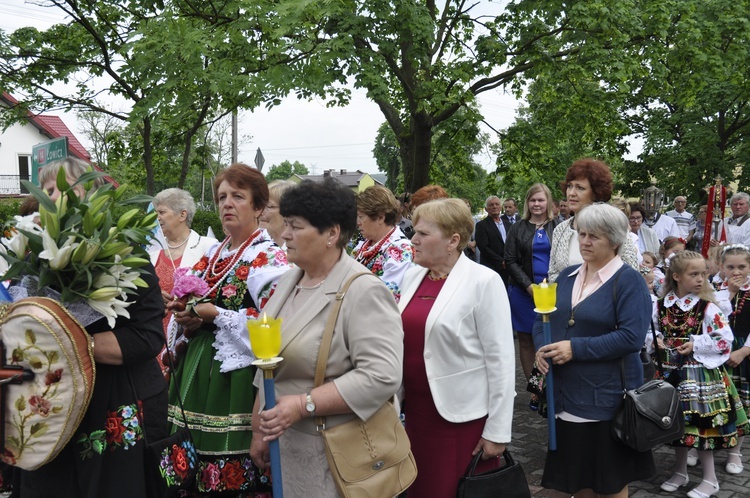 Powitanie ikony MB Częstochowskiej w Domaniewicach