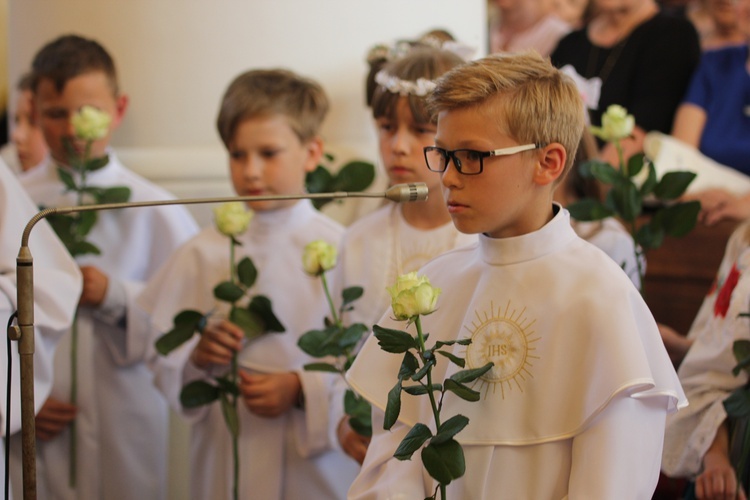 Powitanie ikony MB Częstochowskiej w Bąkowie