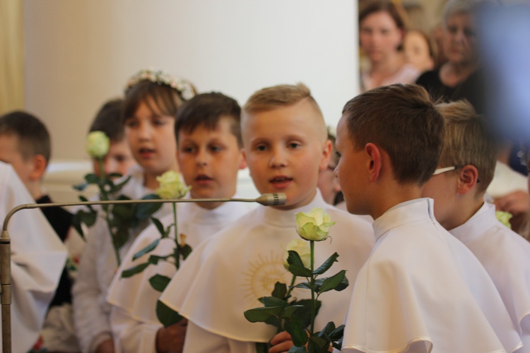 Powitanie ikony MB Częstochowskiej w Bąkowie