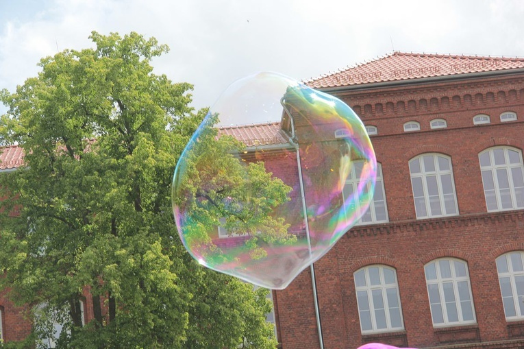 Piknik na rzecz hospicjum dla dzieci
