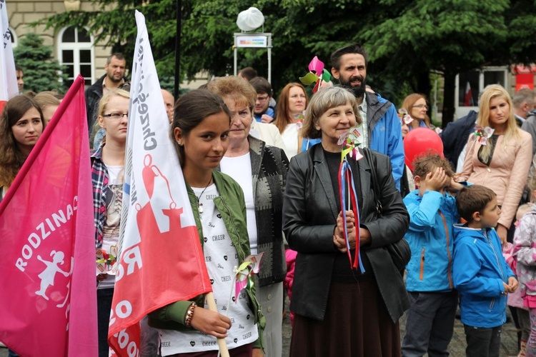 4. Marsz dla Życia i Rodziny w Bielsku-Białej - 2017