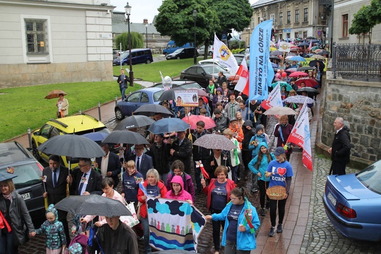 4. Marsz dla Życia i Rodziny w Bielsku-Białej - 2017