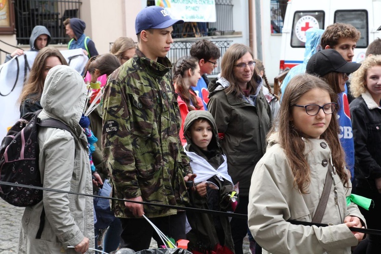 4. Marsz dla Życia i Rodziny w Bielsku-Białej - 2017