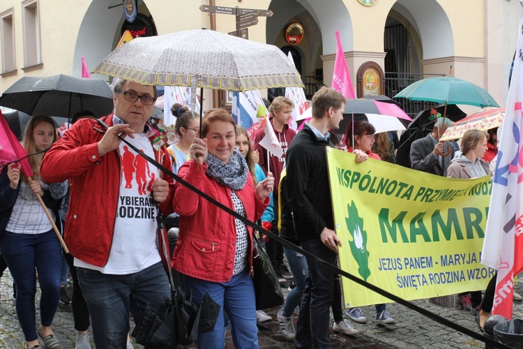 4. Marsz dla Życia i Rodziny w Bielsku-Białej - 2017