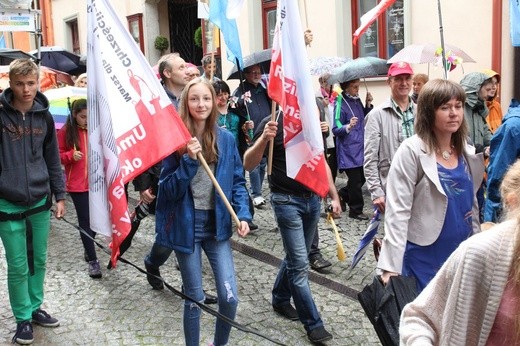 4. Marsz dla Życia i Rodziny w Bielsku-Białej - 2017