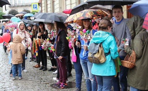 4. Marsz dla Życia i Rodziny w Bielsku-Białej - 2017