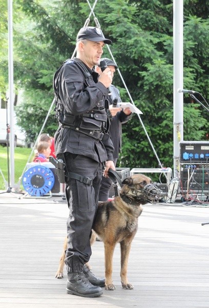 Piknik Caritas po Marszu dla Życia i Rodziny - 2017