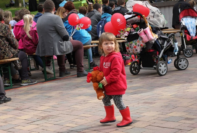 Piknik Caritas po Marszu dla Życia i Rodziny - 2017