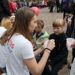 Piknik Caritas po Marszu dla Życia i Rodziny - 2017