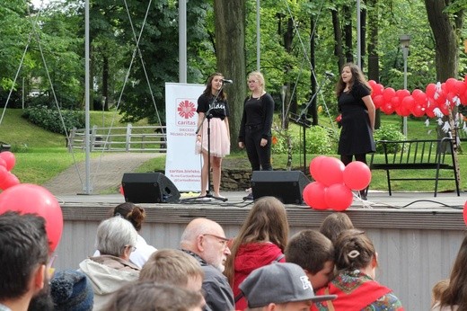 Piknik Caritas po Marszu dla Życia i Rodziny - 2017