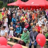 Piknik Caritas po Marszu dla Życia i Rodziny - 2017