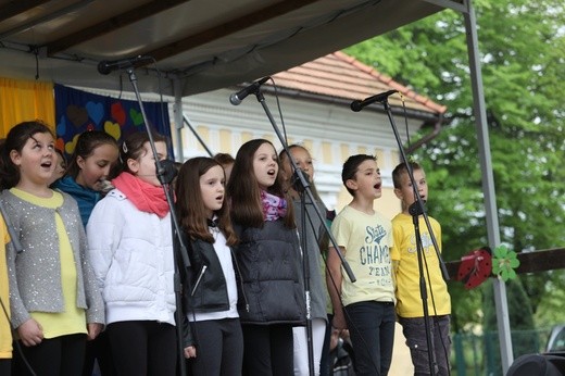 Rodzinny piknik w Kobiernicach