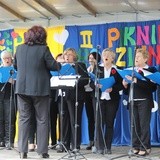 Rodzinny piknik w Kobiernicach