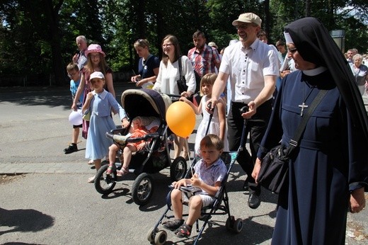 Marsz dla Życia i Rodziny w Rybniku - 2017 r.