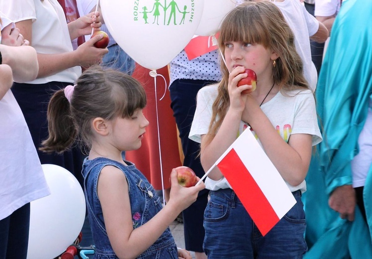 1. Marsz dla Życia i Rodziny w Żywcu - 2017