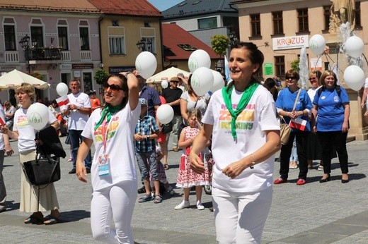 1. Marsz dla Życia i Rodziny w Żywcu - 2017