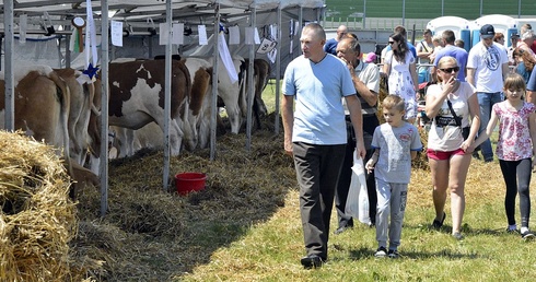 W tegorocznej edycji wystawy rolniczej zaprezentowało się ponad 400 wystawców