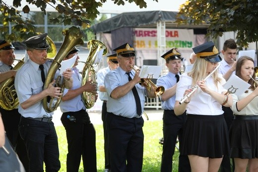 Marsz dla Życia i Rodziny w Oświęcimiu - 2017