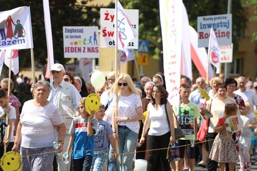 Marsz dla Życia i Rodziny w Oświęcimiu - 2017