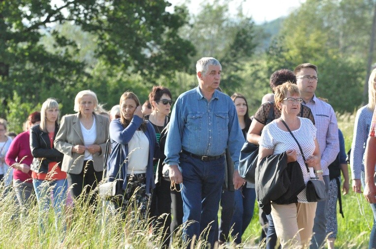 Z Trzetrzewiny do Niskowej