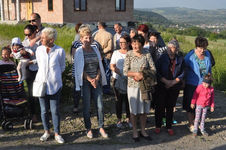 Z Trzetrzewiny do Niskowej