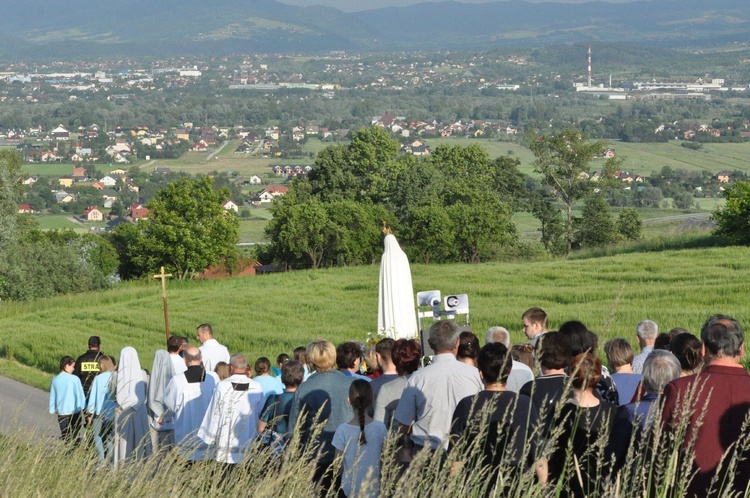 Z Trzetrzewiny do Niskowej