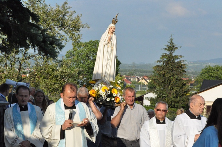 Z Trzetrzewiny do Niskowej