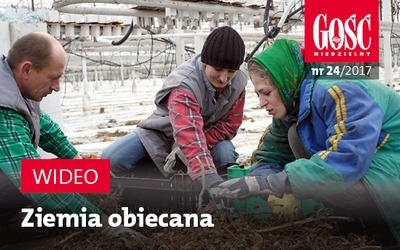 Zwiastun najnowszego "Gościa"