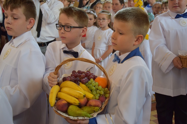 Powitanie ikony MB Częstochowskiej w Bobrownikach