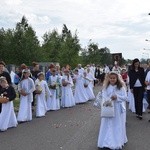 Powitanie ikony MB Częstochowskiej w Bobrownikach