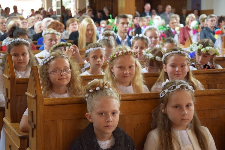 Powitanie ikony MB Częstochowskiej w Bobrownikach