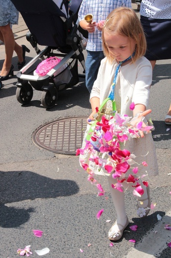 Z sanktuarium na Serbinów