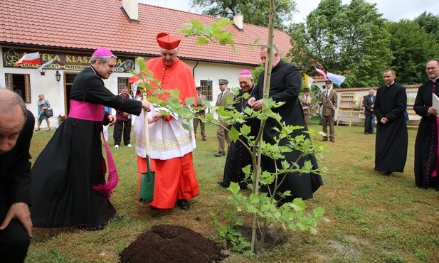 Cztery wieki Pustelni Złotego Lasu