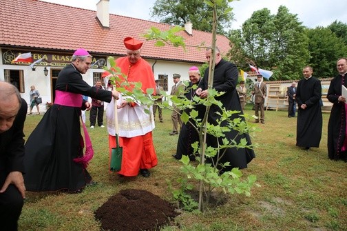 Cztery wieki Pustelni Złotego Lasu