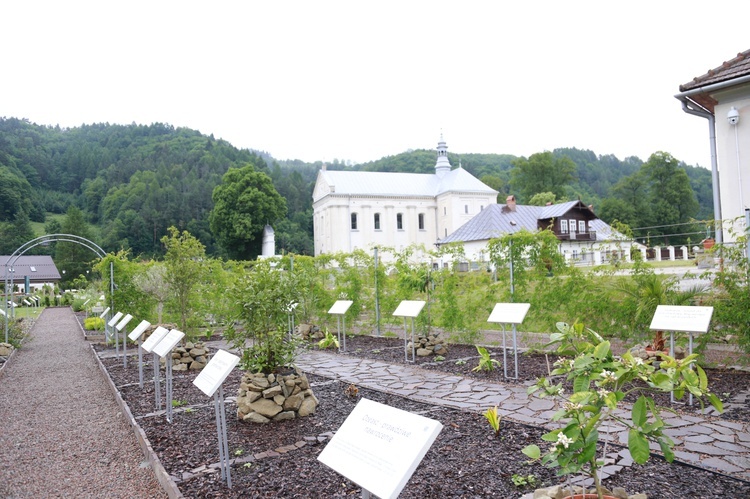 Święto Muszyńskich Ogrodów Biblijnych