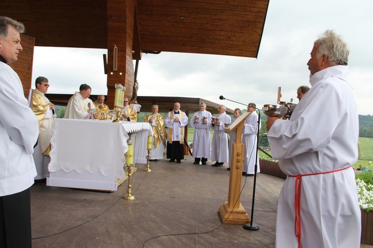 Diecezjalne Święto Rodziny 2017