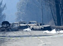 Gigantyczny pożar w Portugalii: 62 ofiary śmiertelne