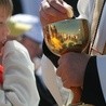 Papież o pokarmie eucharystycznym