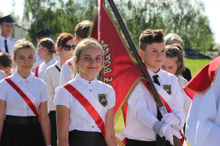 Powitanie ikony MB Częstochowskiej w Bednarach