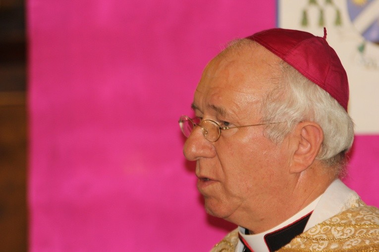 Powitanie ikony MB Częstochowskiej w Bednarach