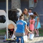 3. Rodzinny Piknik w Międzybrodziu Żywieckim - 2017