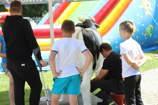 3. Rodzinny Piknik w Międzybrodziu Żywieckim - 2017