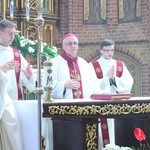 Służba liturgiczna ołtarza w Gietrzwałdzie
