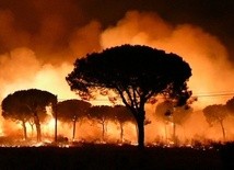 61 Polaków ewakuowanych w związku z pożarem w Hiszpanii