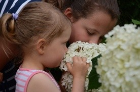 Ogród Botaniczny zaprasza dzieci na warsztaty